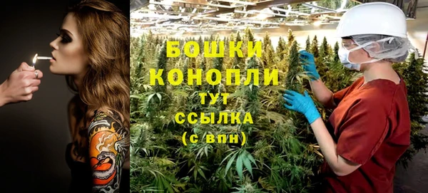 гашик Волосово